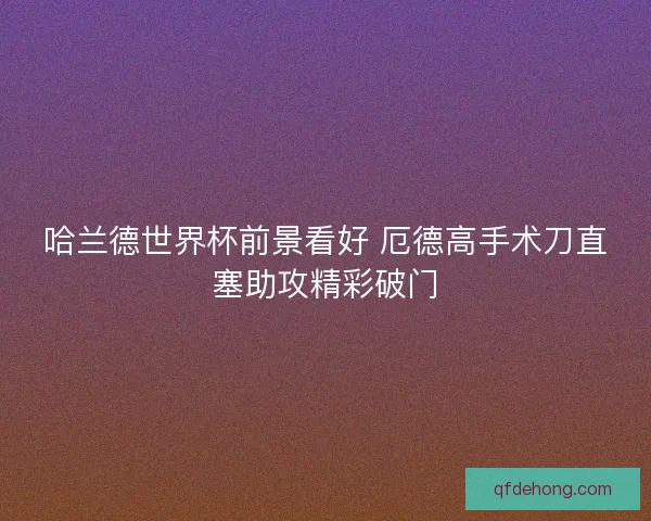 哈兰德世界杯前景看好 厄德高手术刀直塞助攻精彩破门